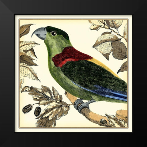 Tropical Parrot IV Black Modern Wood Framed Art Print by Martinet