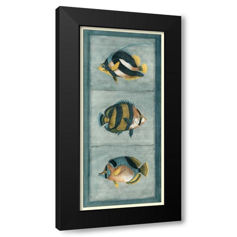 Tropical Fish Trio II Black Modern Wood Framed Art Print by Vision Studio