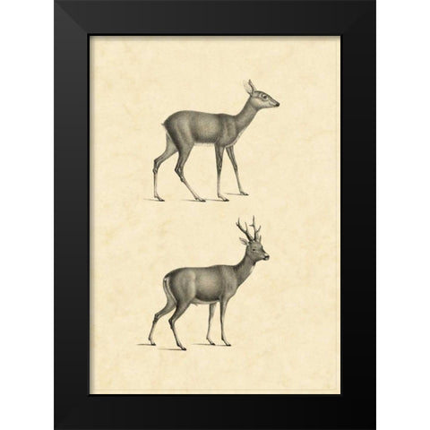 Vintage Deer I Black Modern Wood Framed Art Print by Vision Studio
