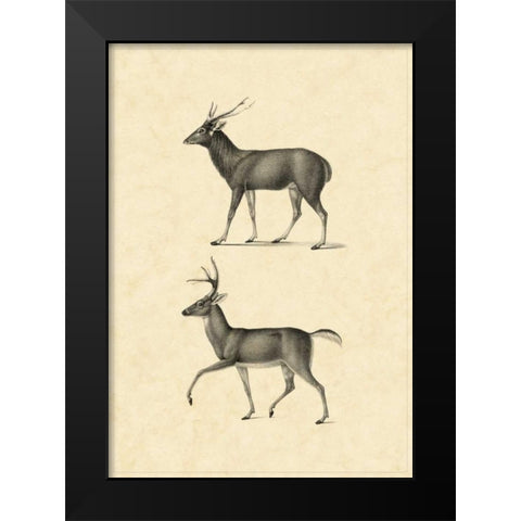 Vintage Deer II Black Modern Wood Framed Art Print by Vision Studio