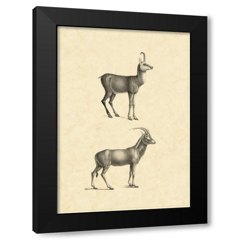 Vintage Antelope Black Modern Wood Framed Art Print by Vision Studio