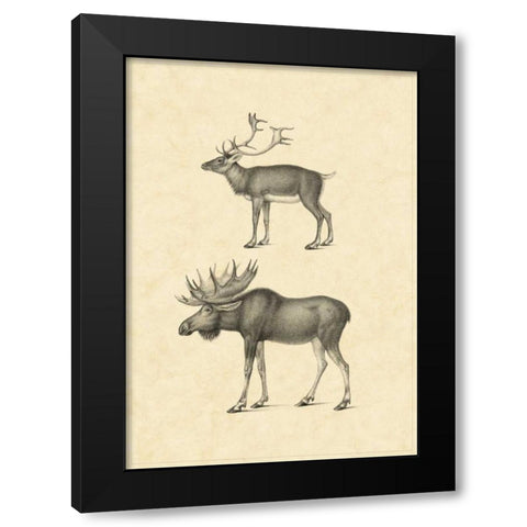 Vintage Elk Black Modern Wood Framed Art Print by Vision Studio