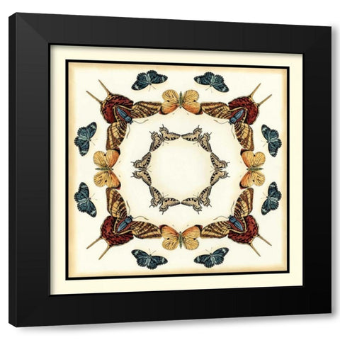 Butterfly Collector I Black Modern Wood Framed Art Print with Double Matting by Zarris, Chariklia