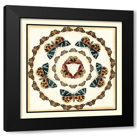 Butterfly Collector III Black Modern Wood Framed Art Print by Zarris, Chariklia