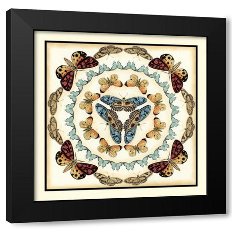 Butterfly Collector IV Black Modern Wood Framed Art Print with Double Matting by Zarris, Chariklia