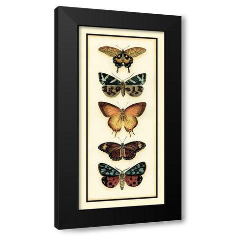 Butterfly Collector V Black Modern Wood Framed Art Print by Zarris, Chariklia