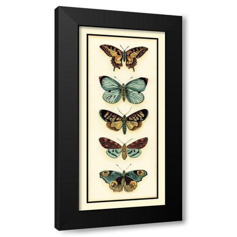 Butterfly Collector VI Black Modern Wood Framed Art Print with Double Matting by Zarris, Chariklia