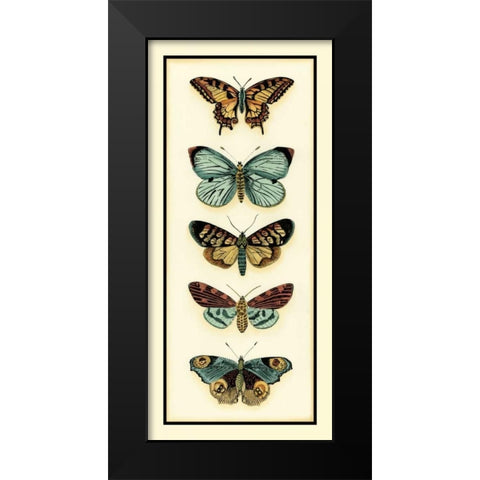 Butterfly Collector VI Black Modern Wood Framed Art Print by Zarris, Chariklia
