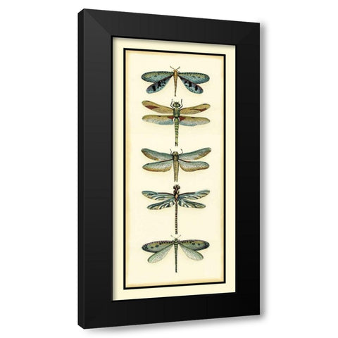 Dragonfly Collector I Black Modern Wood Framed Art Print with Double Matting by Zarris, Chariklia