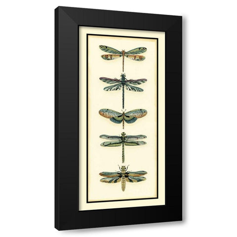 Dragonfly Collector II Black Modern Wood Framed Art Print with Double Matting by Zarris, Chariklia