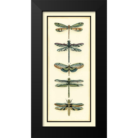 Dragonfly Collector II Black Modern Wood Framed Art Print by Zarris, Chariklia