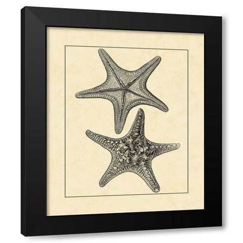 AntiqueandDeckle Vintage Starfish II Black Modern Wood Framed Art Print by Vision Studio
