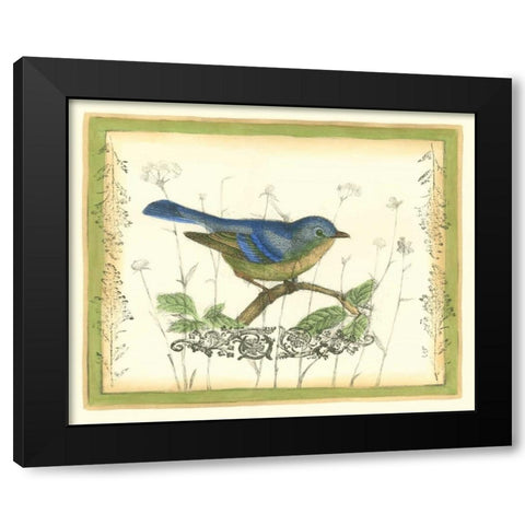 Bird and Wildflowers II Black Modern Wood Framed Art Print with Double Matting by Goldberger, Jennifer