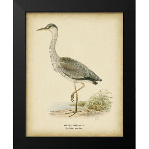 Non-embellished Vintage Heron II Black Modern Wood Framed Art Print by Wright, Von