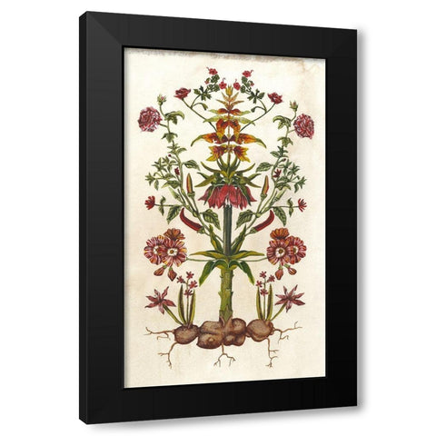 Botanical Hybrid I Black Modern Wood Framed Art Print with Double Matting by McCavitt, Naomi