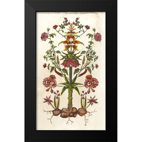 Botanical Hybrid I Black Modern Wood Framed Art Print by McCavitt, Naomi