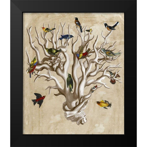 The Ornithologists Dream I Black Modern Wood Framed Art Print by McCavitt, Naomi