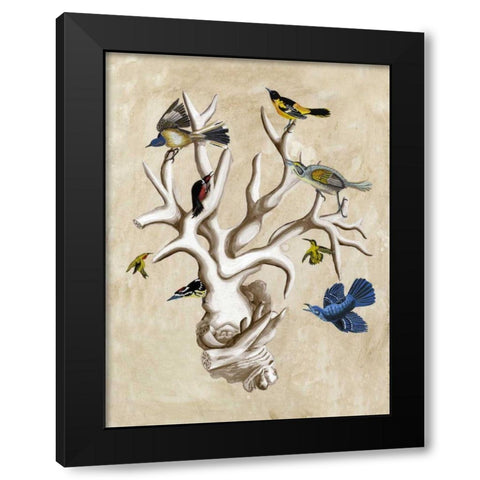 The Ornithologists Dream II Black Modern Wood Framed Art Print by McCavitt, Naomi