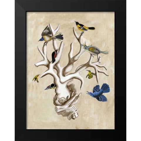 The Ornithologists Dream II Black Modern Wood Framed Art Print by McCavitt, Naomi