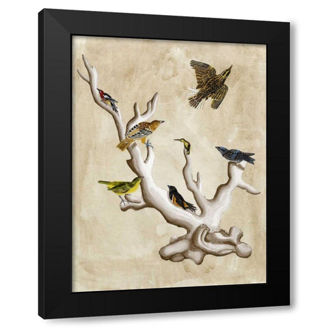 The Ornithologists Dream III Black Modern Wood Framed Art Print by McCavitt, Naomi