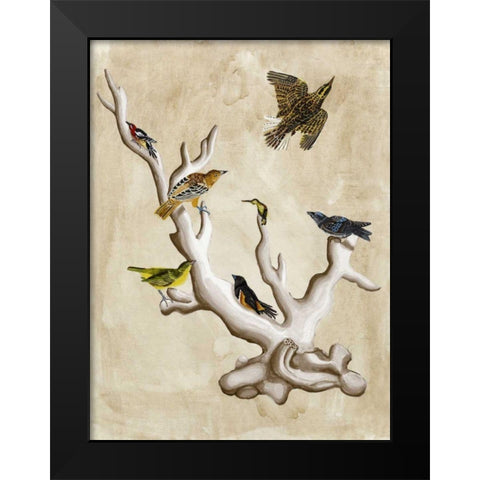 The Ornithologists Dream III Black Modern Wood Framed Art Print by McCavitt, Naomi