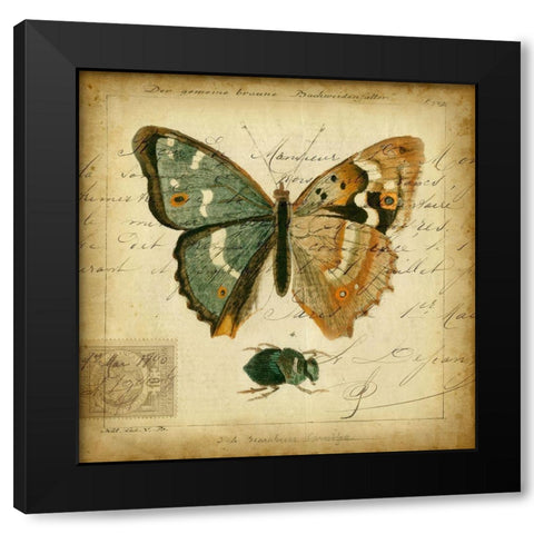 Custom Postscript Butterfly I (GC) Black Modern Wood Framed Art Print with Double Matting by Vision Studio