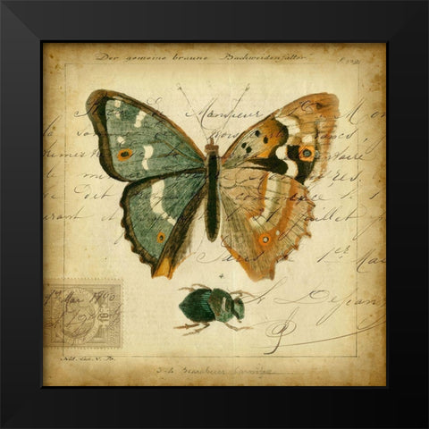Custom Postscript Butterfly I (GC) Black Modern Wood Framed Art Print by Vision Studio