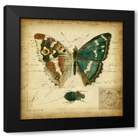 Custom Postscript Butterfly II (GC) Black Modern Wood Framed Art Print by Vision Studio