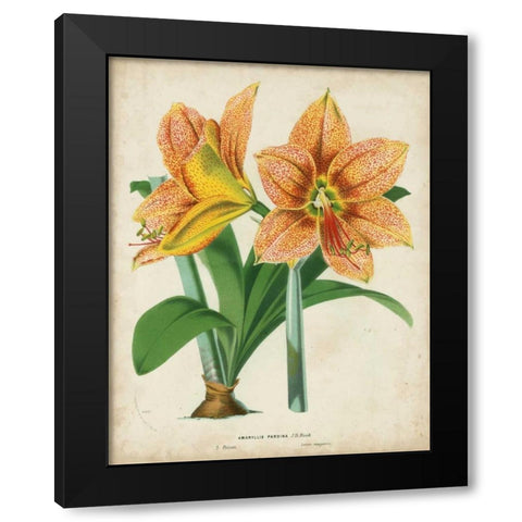 Tropical Array I Black Modern Wood Framed Art Print by Van Houtteano, Horto