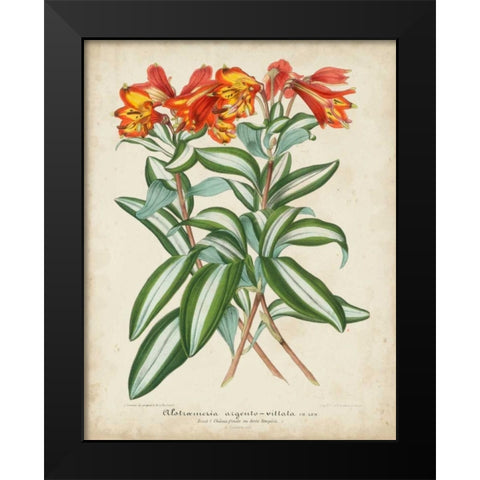 Tropical Array III Black Modern Wood Framed Art Print by Van Houtteano, Horto