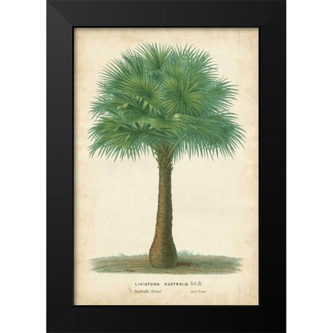 Palm of the Tropics I Black Modern Wood Framed Art Print by Van Houtteano, Horto