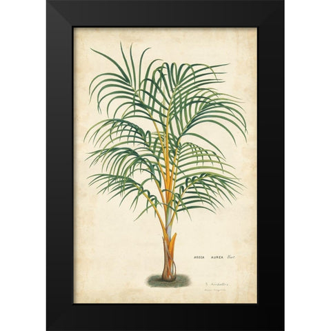 Palm of the Tropics III Black Modern Wood Framed Art Print by Van Houtteano, Horto