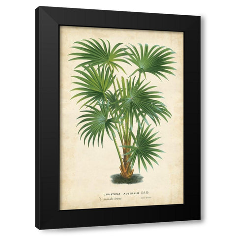 Palm of the Tropics IV Black Modern Wood Framed Art Print by Van Houtteano, Horto