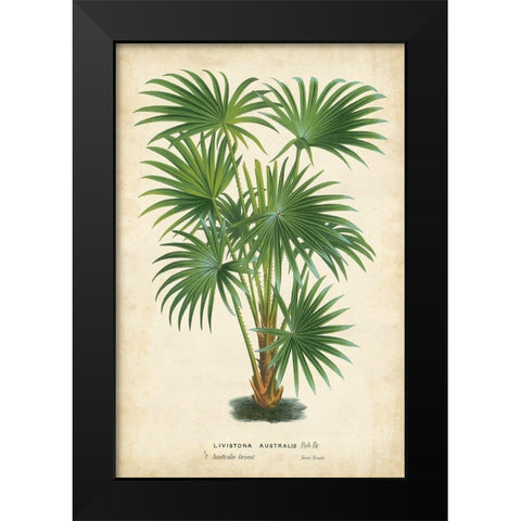 Palm of the Tropics IV Black Modern Wood Framed Art Print by Van Houtteano, Horto