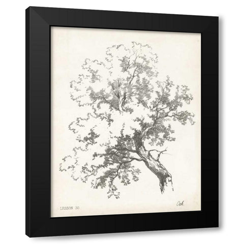 Oak Tree Study Black Modern Wood Framed Art Print with Double Matting by Unknown