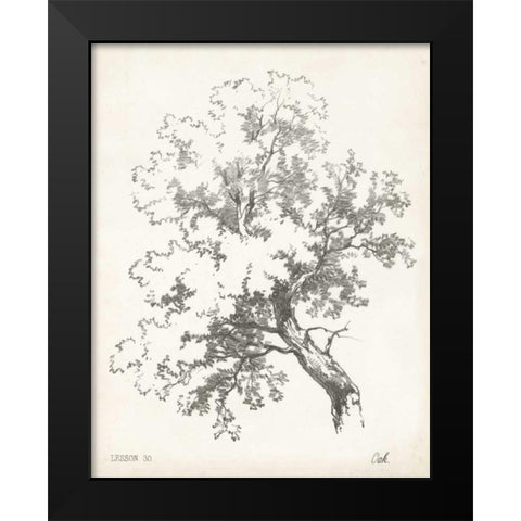 Oak Tree Study Black Modern Wood Framed Art Print by Unknown