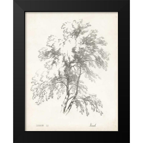 Birch Tree Study Black Modern Wood Framed Art Print by Unknown