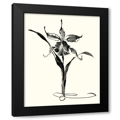 Studies in Ink - Cattleya Black Modern Wood Framed Art Print with Double Matting by Rae, Nan
