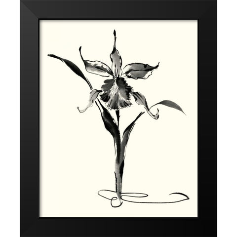 Studies in Ink - Cattleya Black Modern Wood Framed Art Print by Rae, Nan