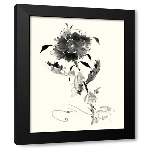 Studies in Ink - Rose I Black Modern Wood Framed Art Print by Rae, Nan
