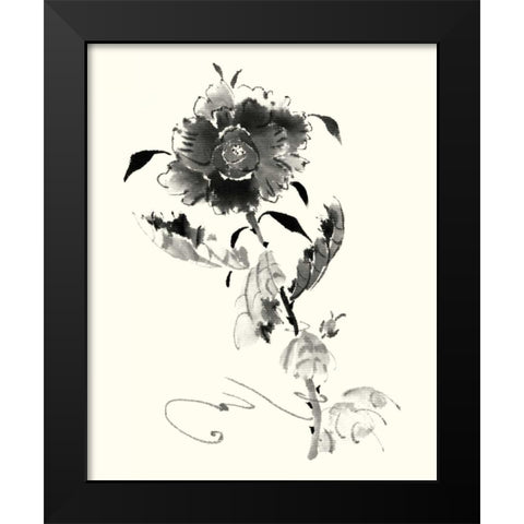 Studies in Ink - Rose I Black Modern Wood Framed Art Print by Rae, Nan