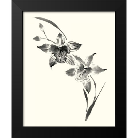 Studies in Ink - Cymbidium Black Modern Wood Framed Art Print by Rae, Nan