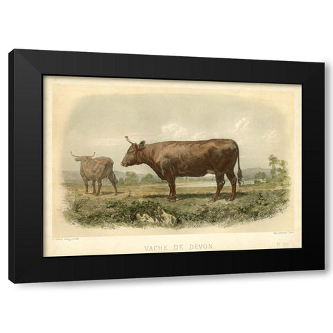 Vache De Devon Black Modern Wood Framed Art Print by Bonheur, I.