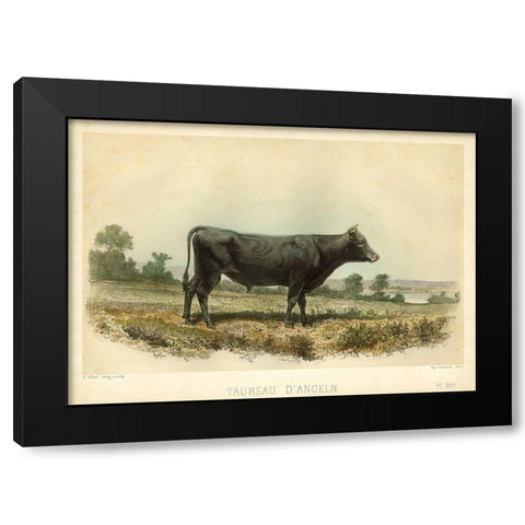 Taureau D Angeln Black Modern Wood Framed Art Print by Bonheur, I.