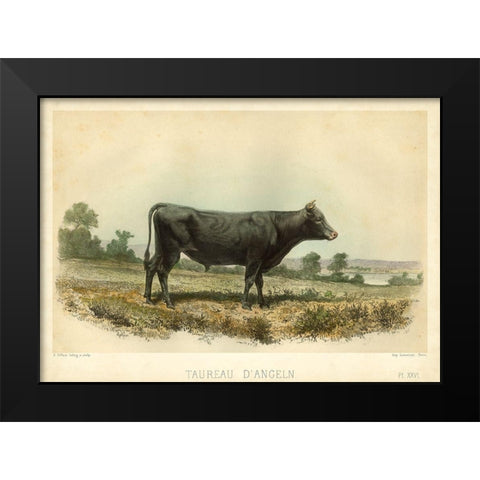 Taureau D Angeln Black Modern Wood Framed Art Print by Bonheur, I.