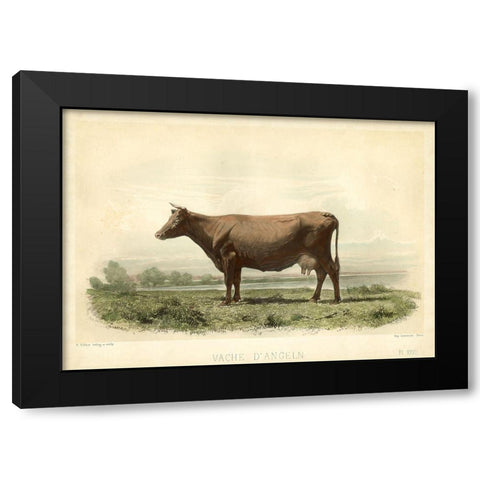 Vache D Angeln Black Modern Wood Framed Art Print with Double Matting by Bonheur, I.