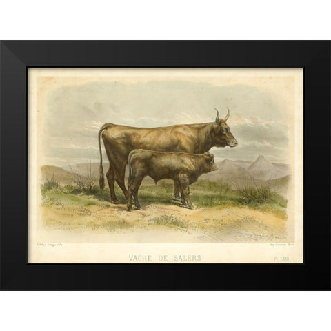 Vache De Salers Black Modern Wood Framed Art Print by Bonheur, I.
