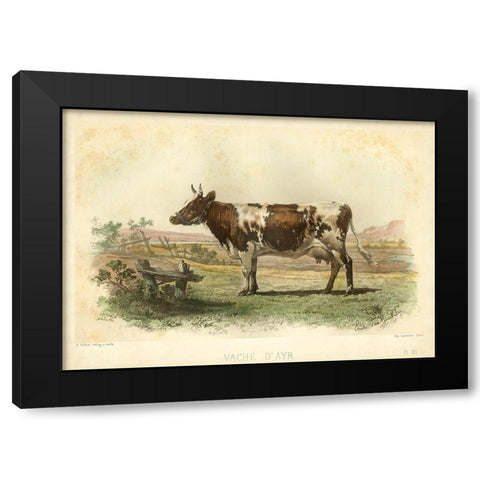 Vache D Ayr Black Modern Wood Framed Art Print by Bonheur, I.