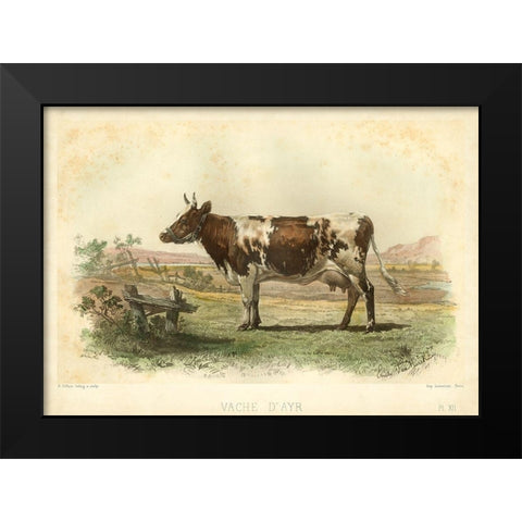 Vache D Ayr Black Modern Wood Framed Art Print by Bonheur, I.