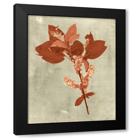 Impressions in Terra Cotta Black Modern Wood Framed Art Print by Vision Studio